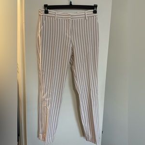 Express ankle pant